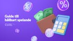 Bankroll management: en guide till hållbart spelande