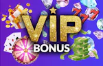VIP Casino Bonus: De bästa VIP- och lojalitetsbonusarna 2024