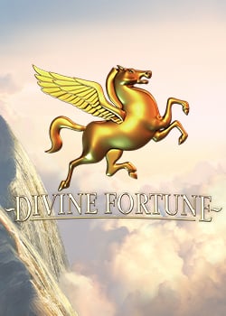 Divine Fortune: Information och detaljer