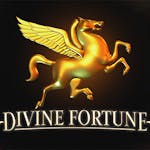 Divine Fortune: Information och detaljer