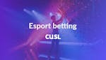 Esport betting: Bästa spelbolagen för esport