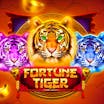 Fortune Tiger: Information och detaljer