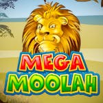 Mega Moolah: Information och detaljer