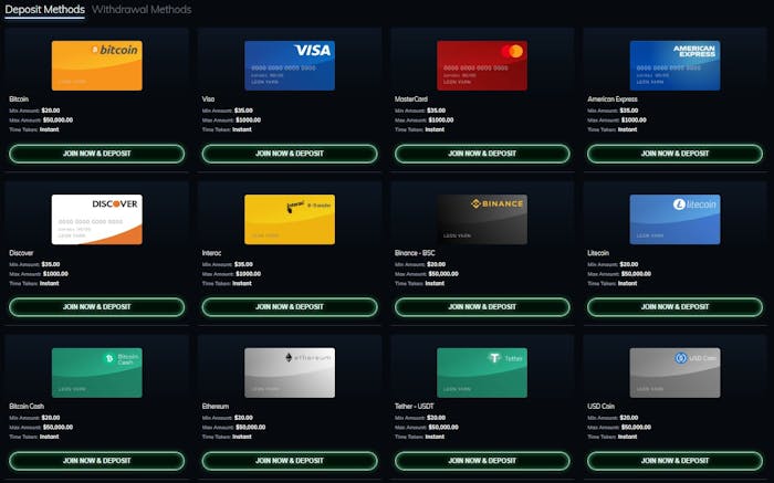 buzzluckcasino betalningsalternativ
