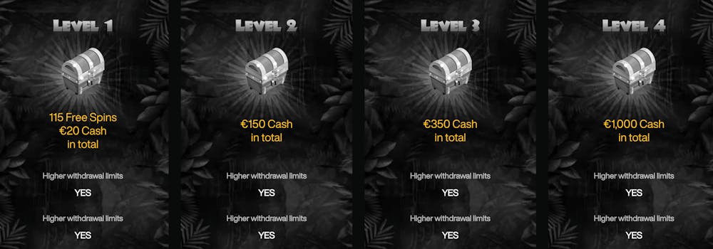 Bild över de fyra nivåerna av Cashwins VIP-program.