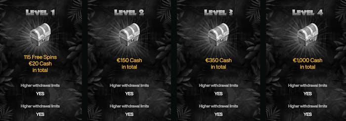 Bild över de fyra nivåerna av Cashwins VIP-program.