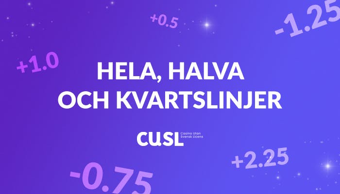 Bild med texten 'Hela, halva och kvartslinjer'