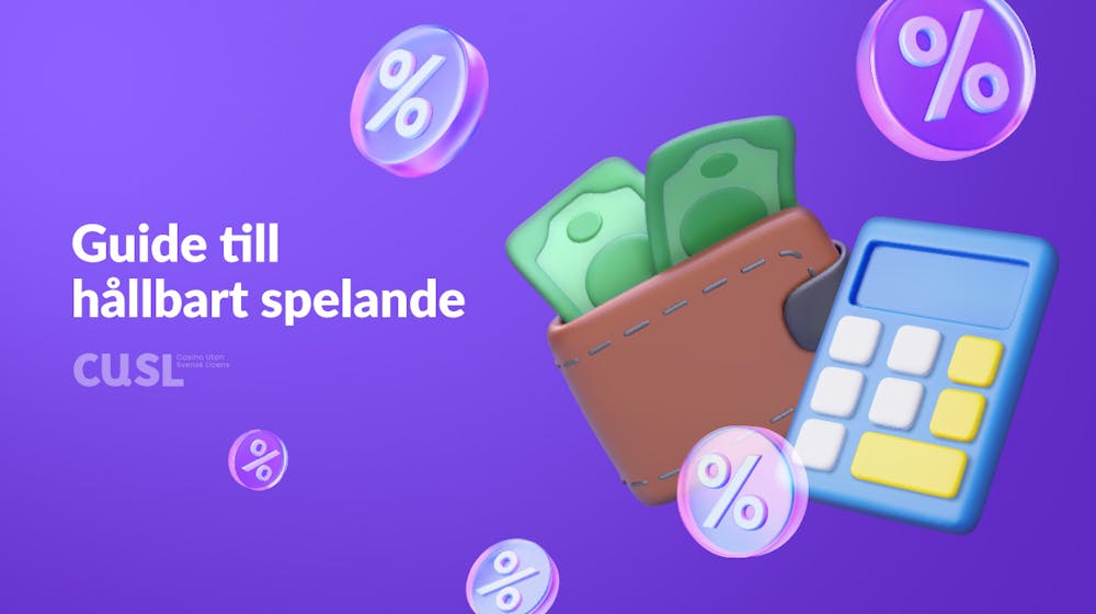 Bankroll management: en guide till hållbart spelande