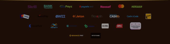Tillgängliga betalningsmetoder hos Vasy Casino
