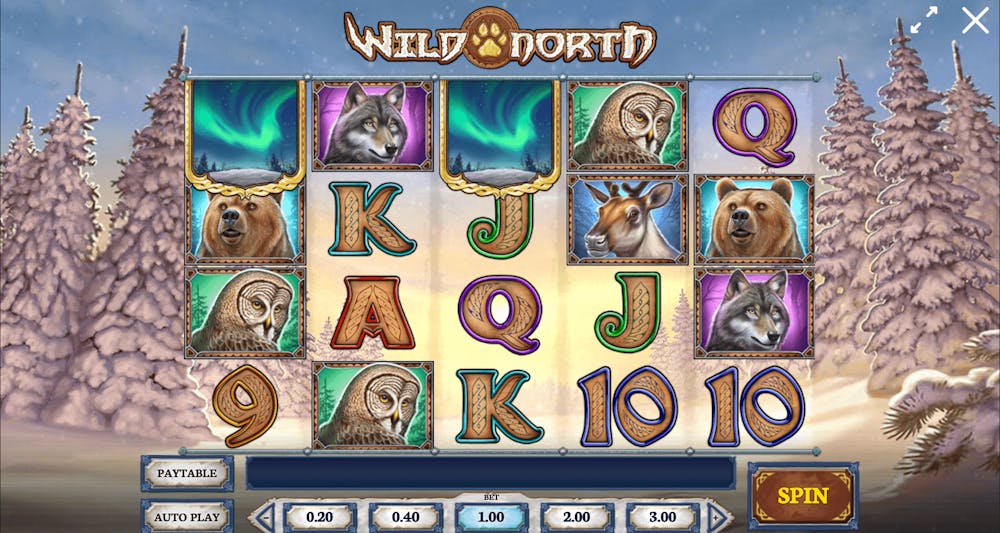 Screenshot på gameplay av Wild North slot.