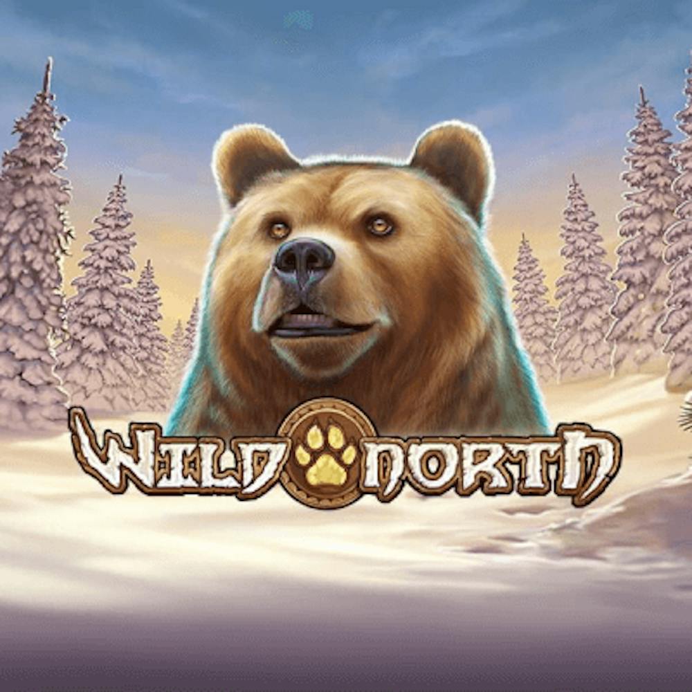 Wild North: Information och detaljer logo