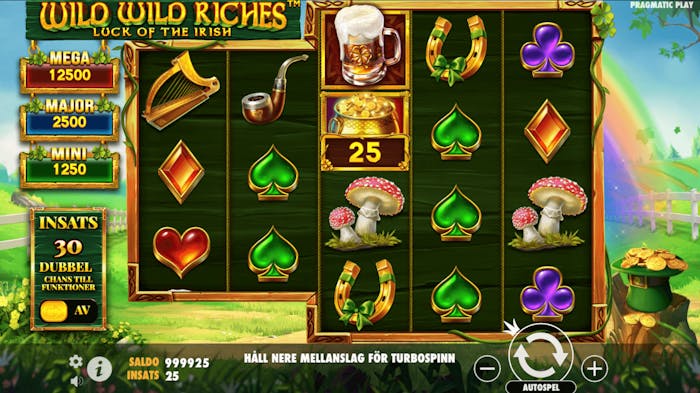 Gameplay av Wild Wild Riches