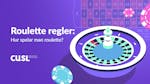 Roulette regler: Hur spelar man roulette?