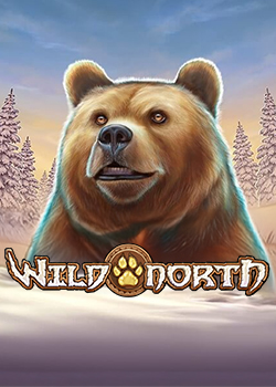 Wild North: Information och detaljer